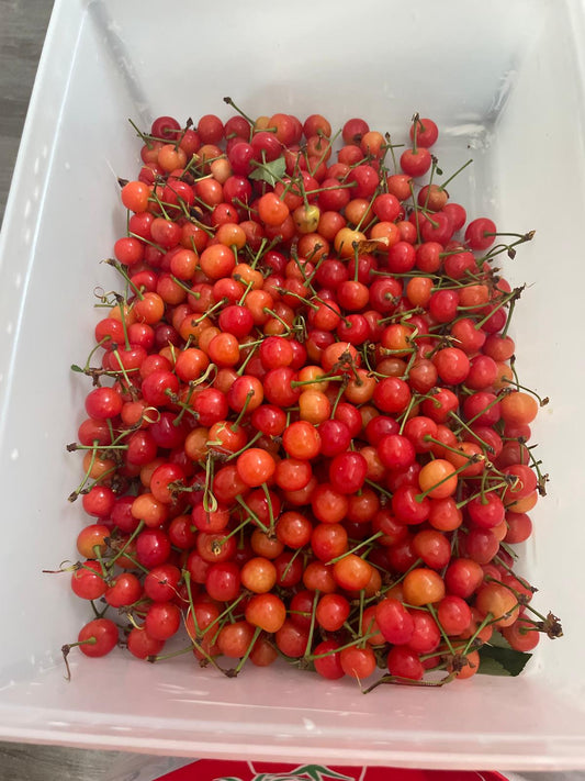 Jar of seasonal jam--now featuring strawberry!
